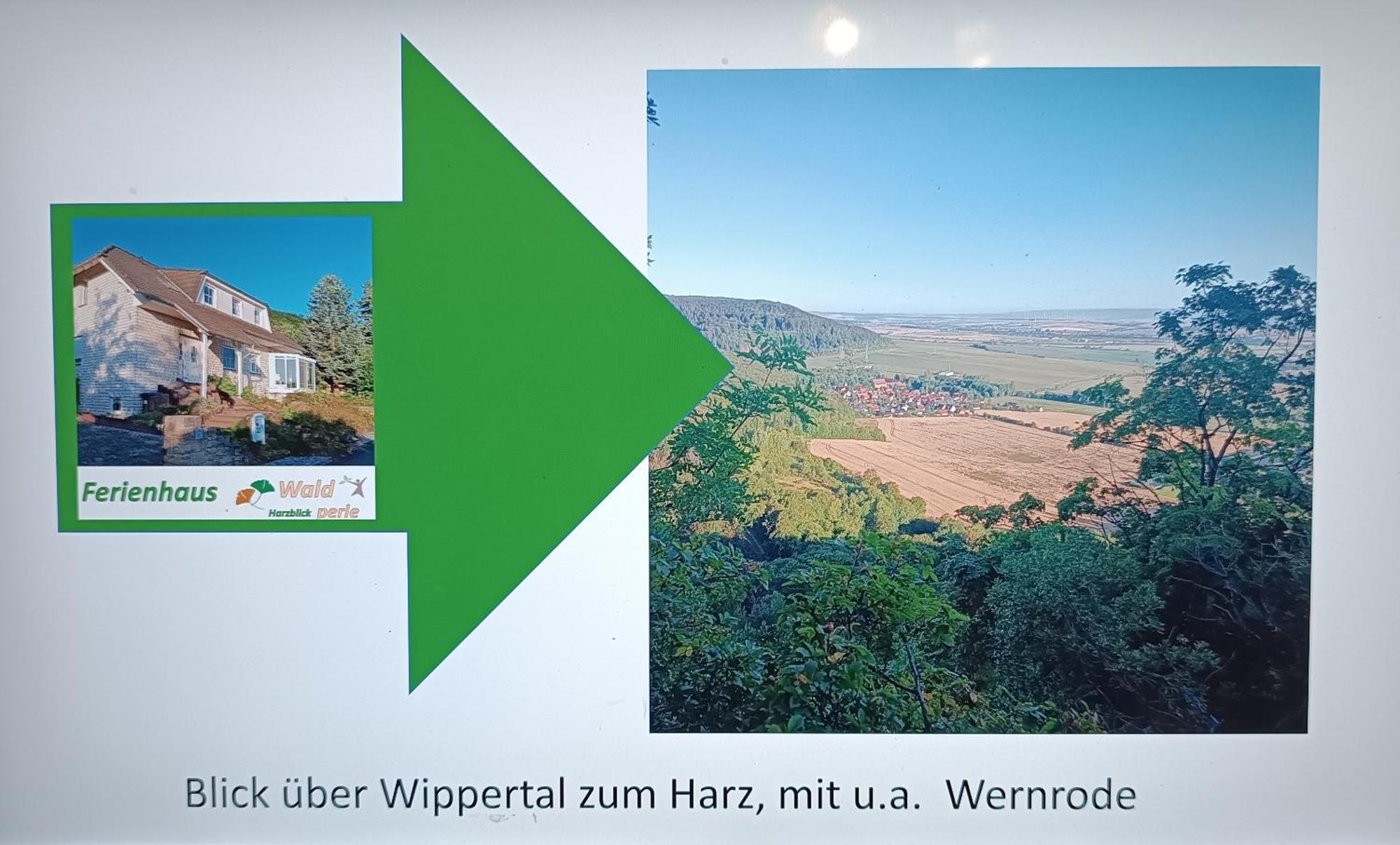 Ferienhaus Waldperle Harzblick Wernrode Εξωτερικό φωτογραφία