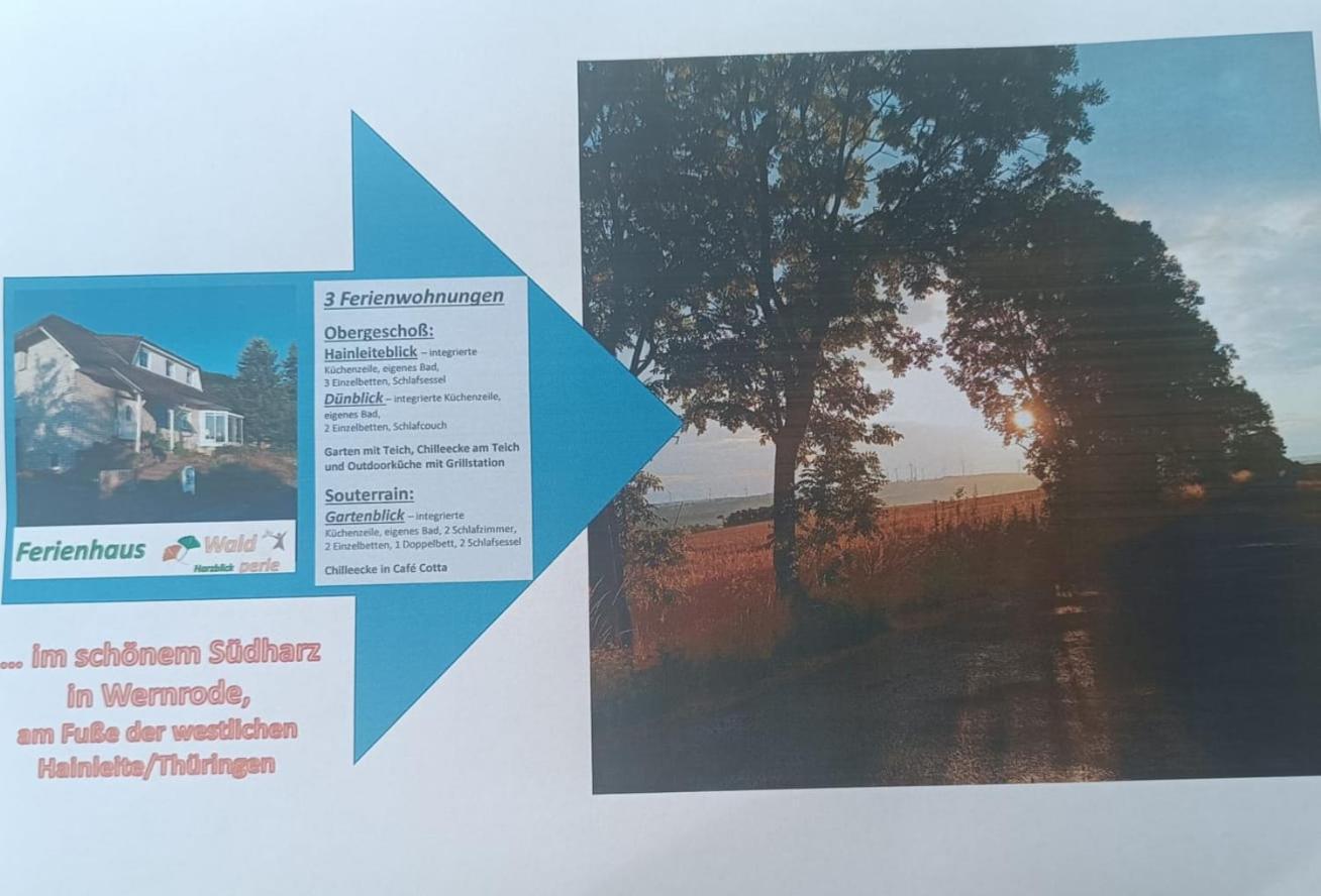 Ferienhaus Waldperle Harzblick Wernrode Εξωτερικό φωτογραφία